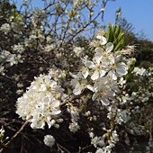 IMG_20170207_140732.jpg