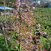 IMG_20170207_144140.jpg