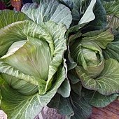 IMG_20170207_150419.jpg