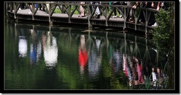 20100410 福山植物園_勝洋水草 IMG_9371