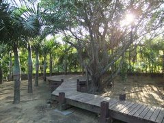 tn_DSCF7309.JPG