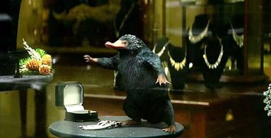 Fantastic-Beasts-and-Where-to-Find-Them-Final-Trailer-3.jpg