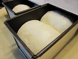 IMG_2678.JPG