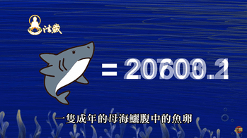 觀音山中華大悲法藏佛教會龍德上師母親節保育放流搶救懷孕海鱺媽媽