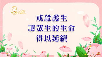 中華大悲法藏佛教會搶救懷孕海鱺媽媽母親節護生保育放流觀音山龍德上師