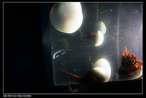 2015.09 osaka (29).jpg
