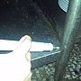 IMG_20110922_132249.jpg
