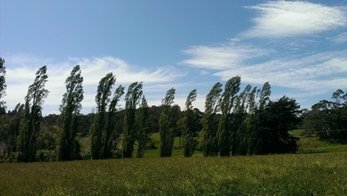 IMAG0235