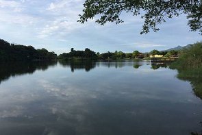 湖泊-樹木-推薦景點_自然生態公園