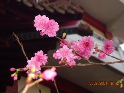 DSCN4507.JPG