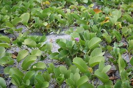 20100711 043.jpg