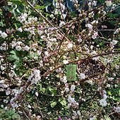 IMG_20170207_144036.jpg
