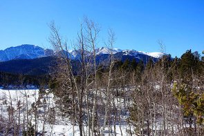 DSC02740.jpg