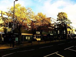 IMG_7781