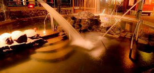 IMG_6644
