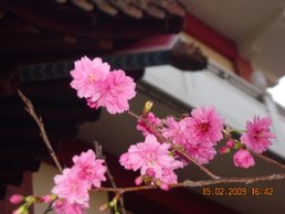 DSCN4508.JPG