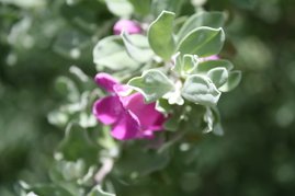 20100724 008.jpg