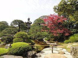 91.jpg