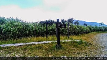IMAG0712.jpg