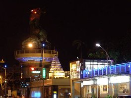 IMGP3659.JPG
