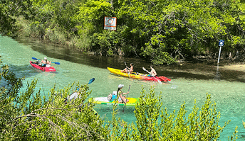 (待不住，往外跑) 在佛羅里達州Weeki Wachee S