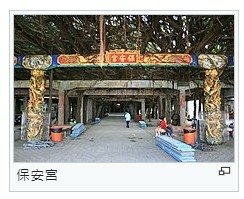 通樑古榕-澎湖最大神木有150-300歲以上的高齡/日治時期
