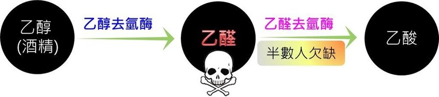 圖片2.jpg