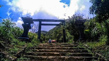 IMAG0770.jpg