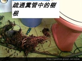 高雄 通馬桶