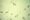 calcium-oxalate-8626.jpg
