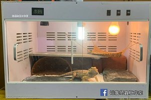 LINE_ALBUM_鬆獅環境佈置_210905_0