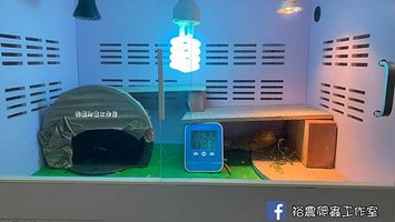 LINE_ALBUM_鬆獅環境佈置_210905_1