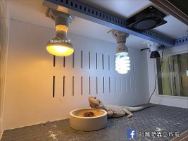 LINE_ALBUM_鬆獅環境佈置_210905_2