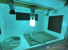 LINE_ALBUM_鬆獅環境佈置_210905_4