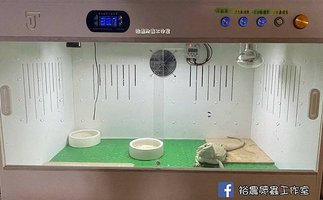 LINE_ALBUM_鬆獅環境佈置_210905_3