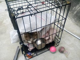 IMG_20180118_112855.jpg