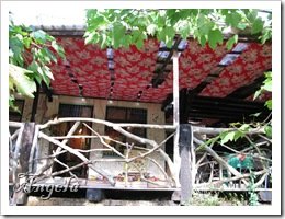 IMG_5693