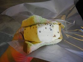 DSCN2131