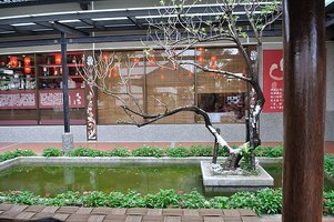 DSC_0411.JPG
