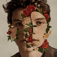 shawn mendes.png