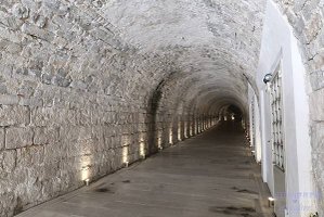 IMG_4005