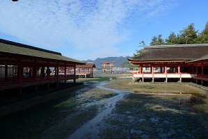 從神社走廊看向鳥居