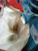 DSC00548.JPG