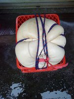 DSC00550.JPG