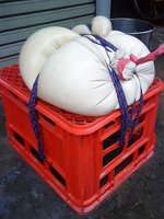 DSC00551.JPG