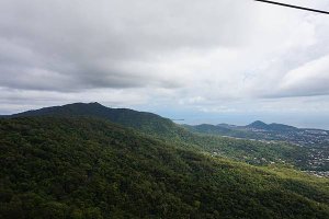 【澳洲】凱恩斯 庫蘭達雨林 Kuranda 1日遊