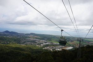 【澳洲】凱恩斯 庫蘭達雨林 Kuranda 1日遊
