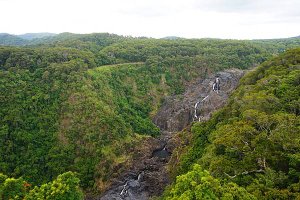 【澳洲】凱恩斯 庫蘭達雨林 Kuranda 1日遊