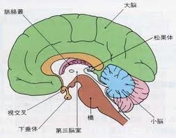images (1)