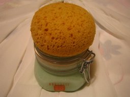 IMG_4407.JPG